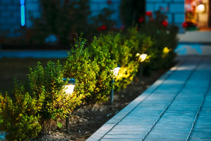 Low Voltage Lighting